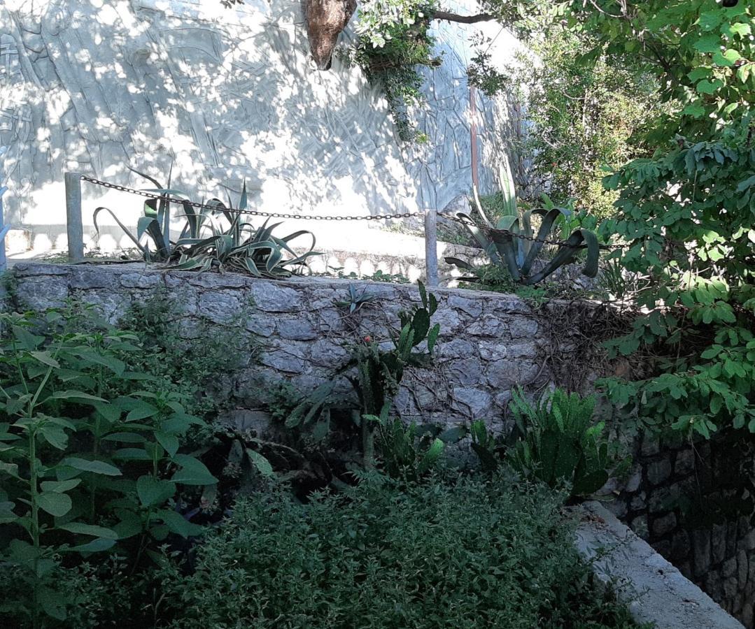 Adriabay Studio Tivat Exteriér fotografie
